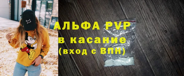 стаф Абинск